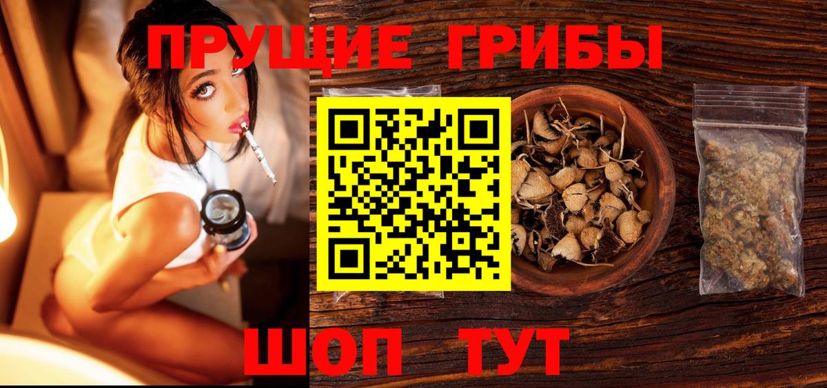 где можно купить   Псилоцибиновые грибы ЛСД  Вход с VPN  Аксай 